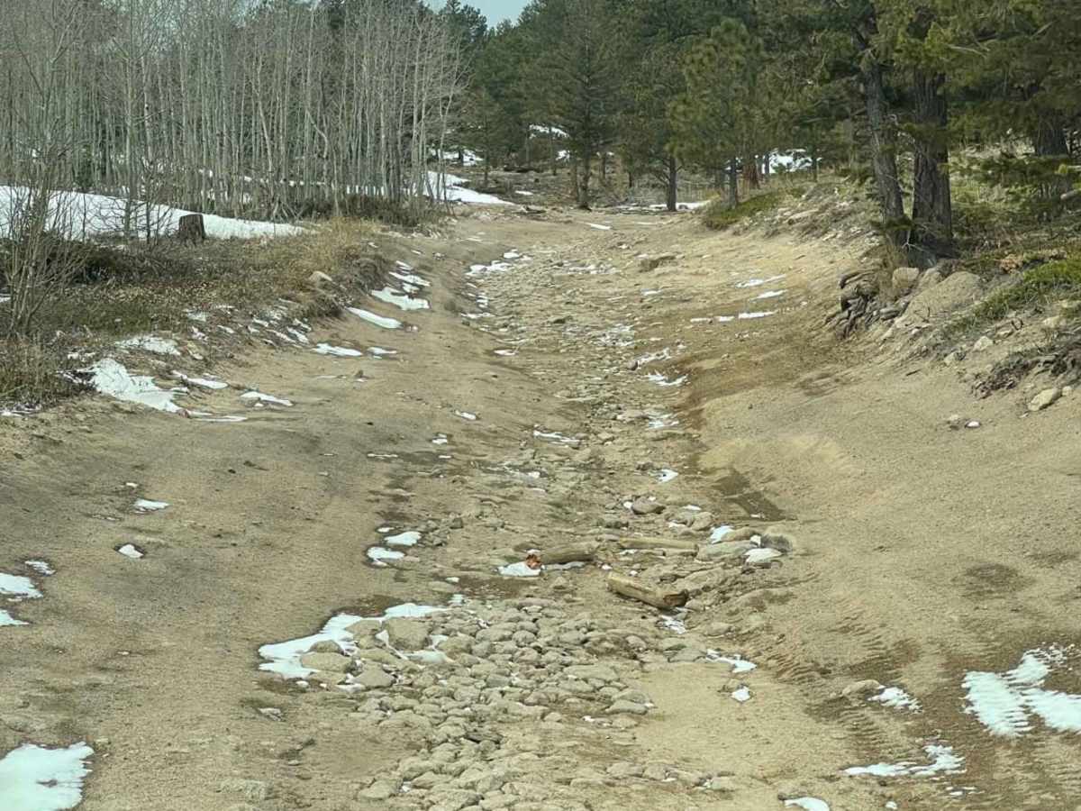 Cave Creek Road photo 4