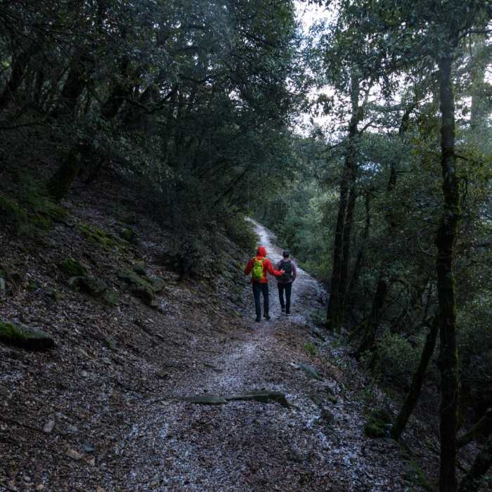 Near Burstarse Falls Hike via Pacific Crest Trail