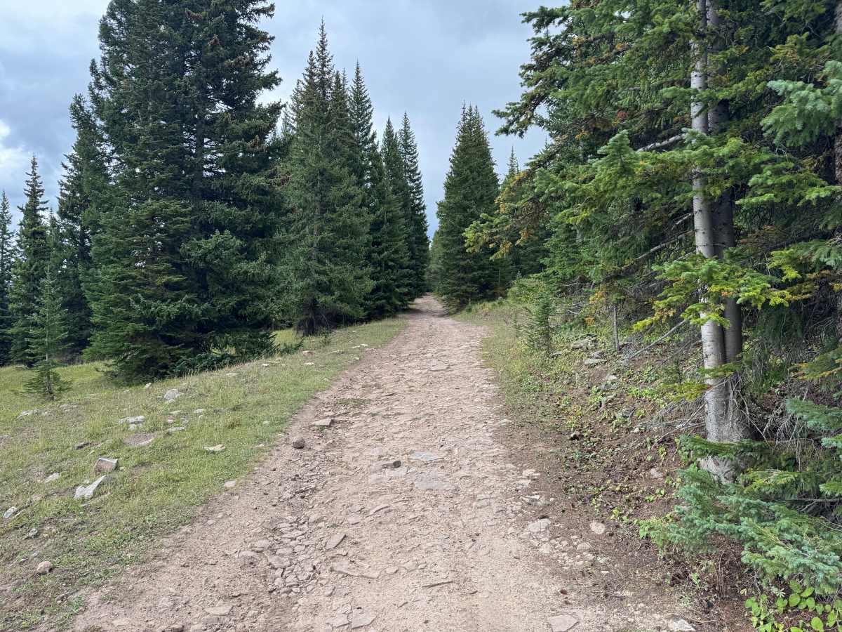 Red and White Mountain Road photo 2