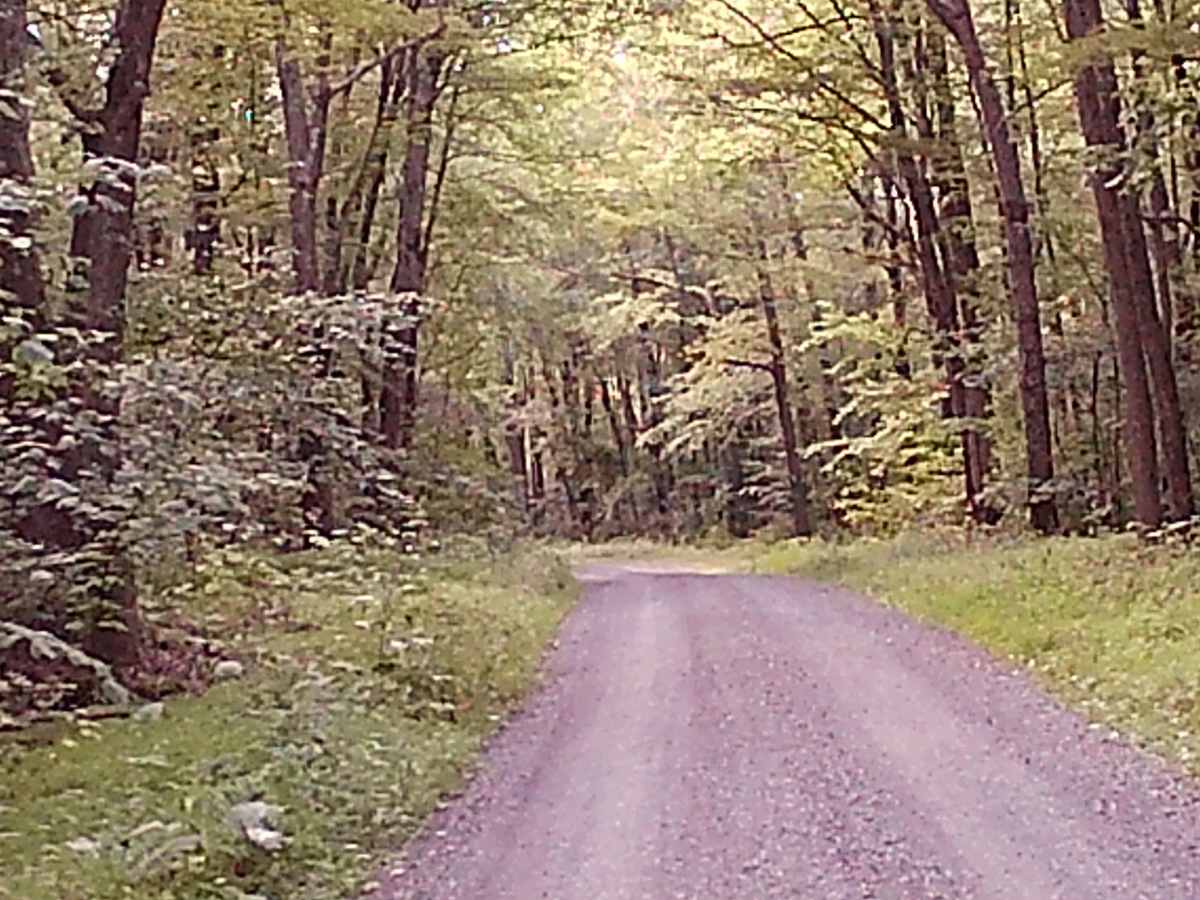 Woodward Gap Road photo 2