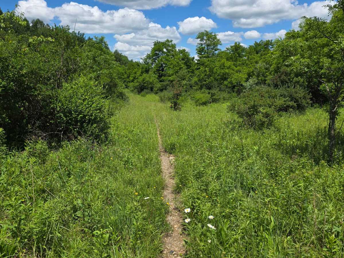 Single Track PP photo 3