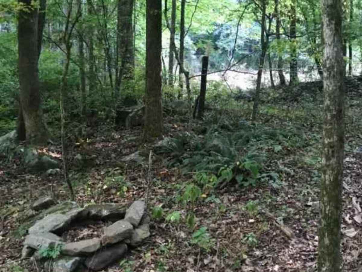 Middle Creek photo 6