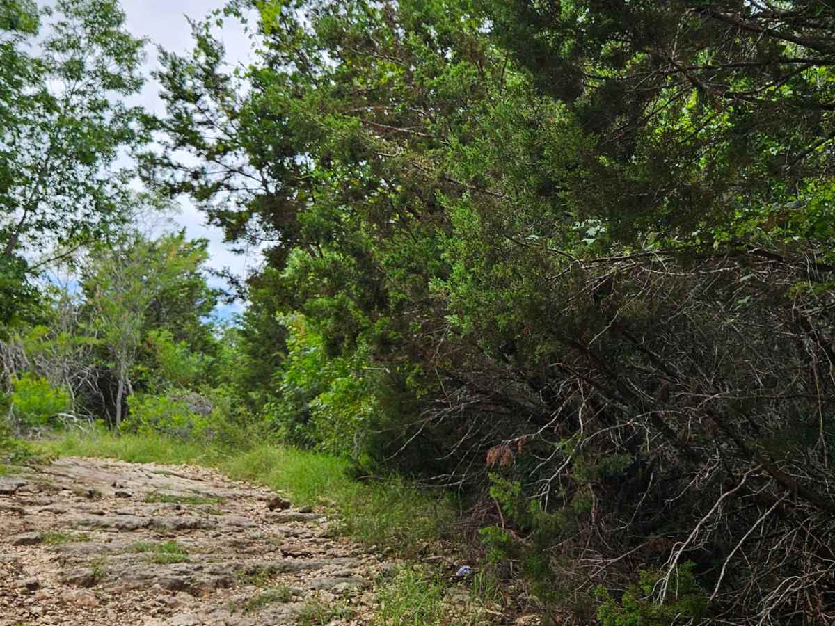 Dee Boot Draw trail photo