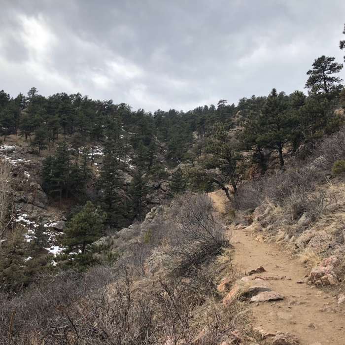 Near Horsetooth Falls Trail