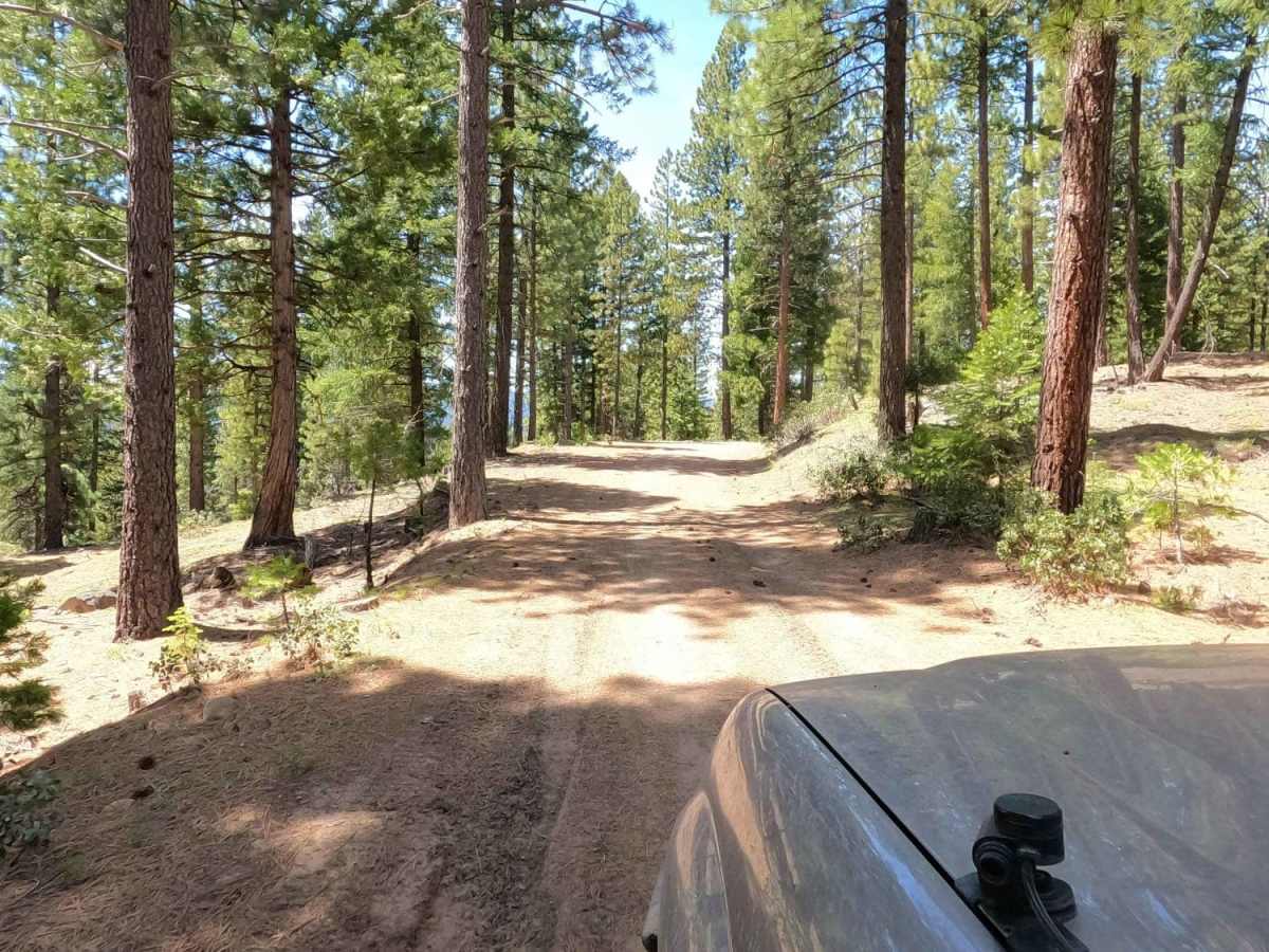 Bonta Creek - NF23N33 photo 5
