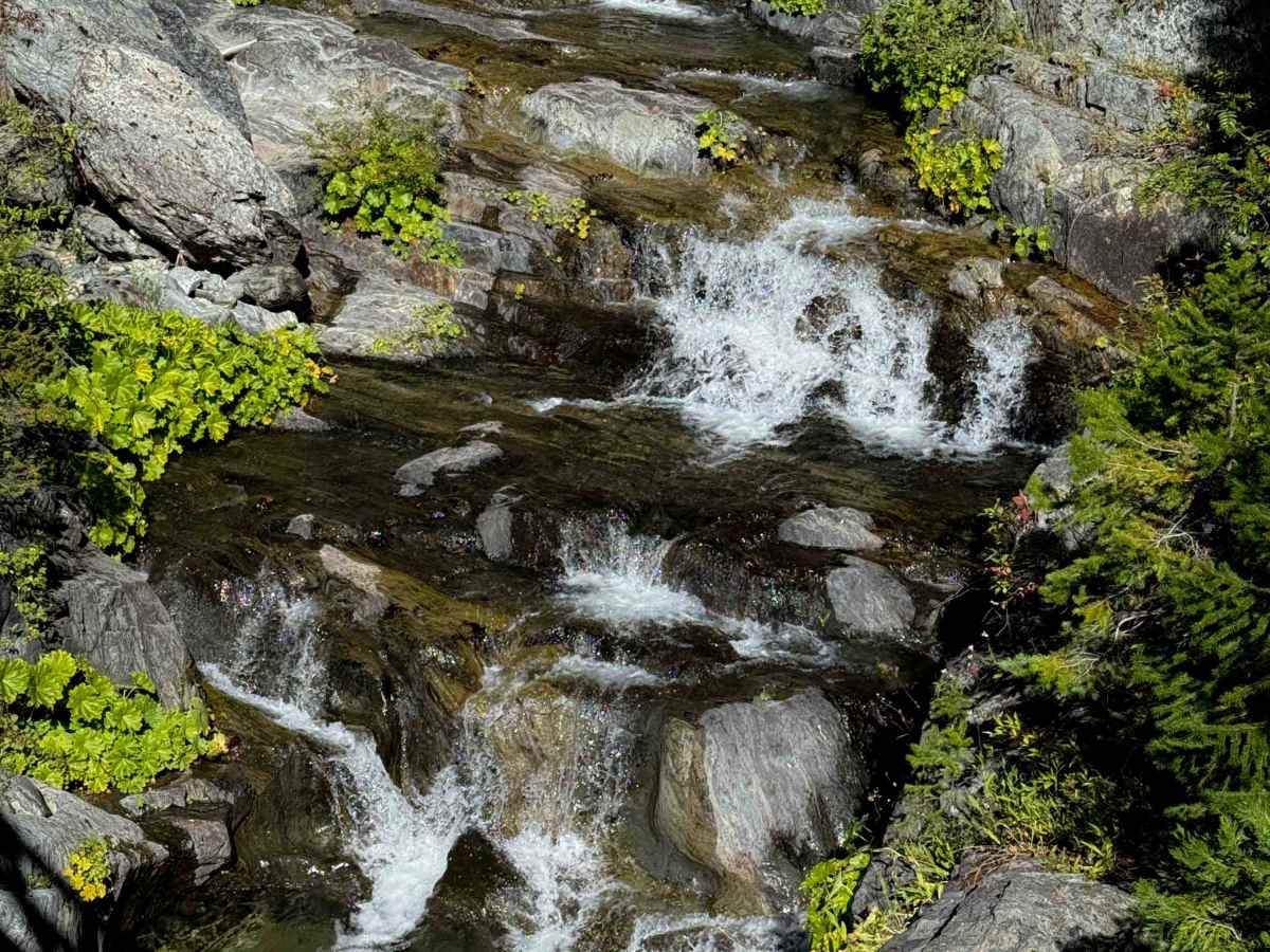 Pauley Creek  photo 5