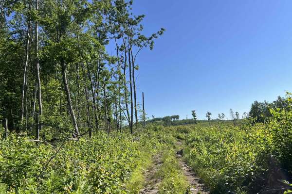 Forest County ATV/ SxS Loop 2 Bypass 
