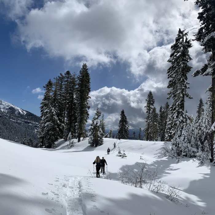 Near Forest Lake Trail