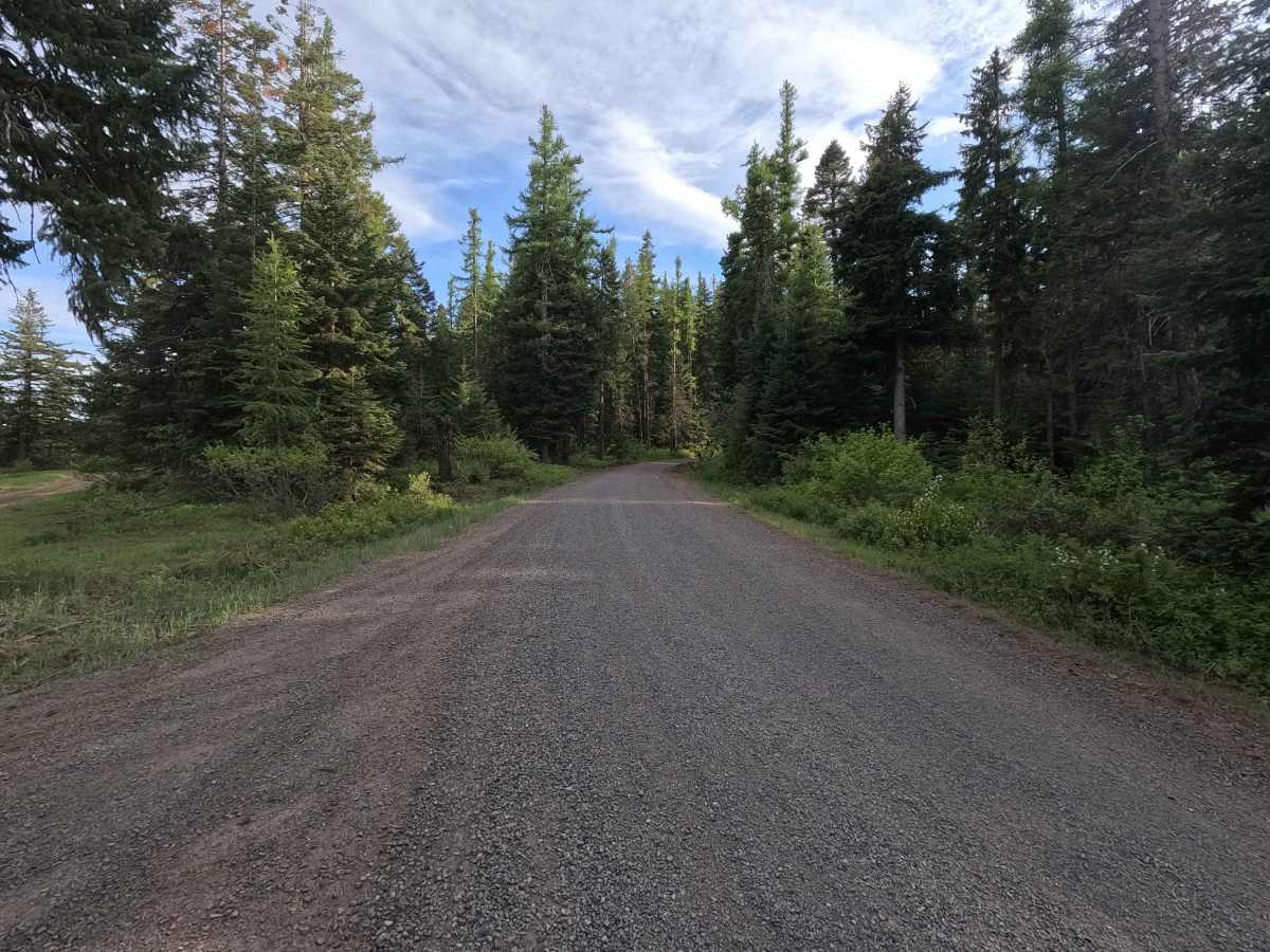 Skyline Road - FS 31 photo 2