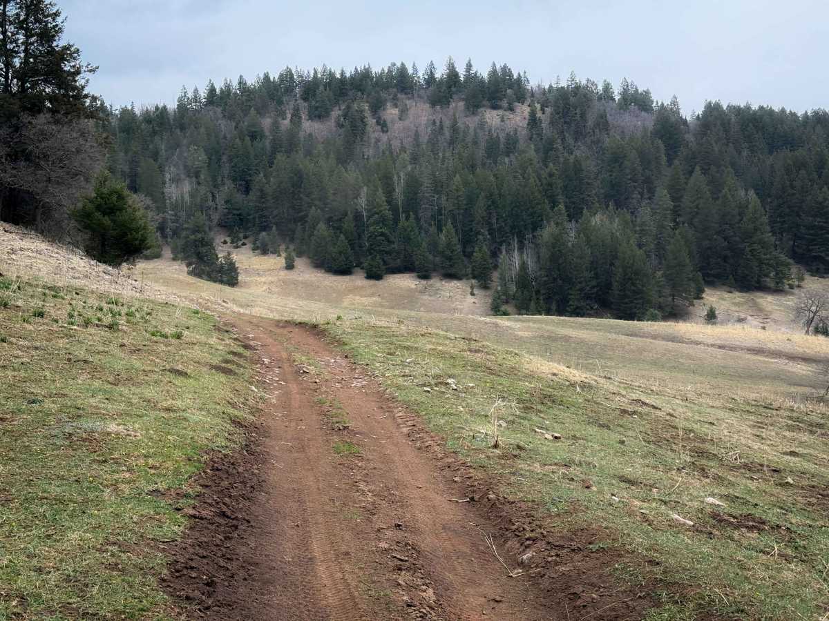 Upper Wills Canyon - FS 9278  photo 4