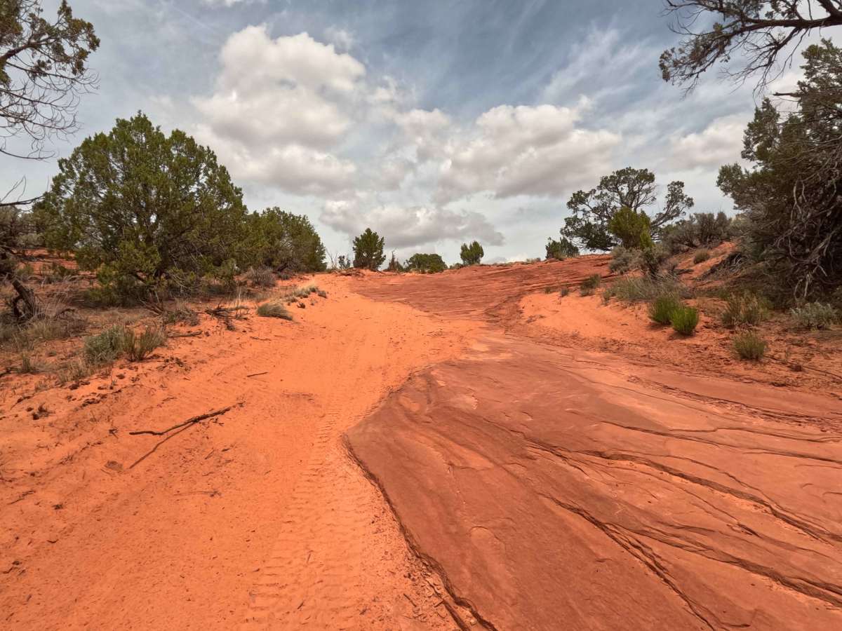 BLM 61H photo 2