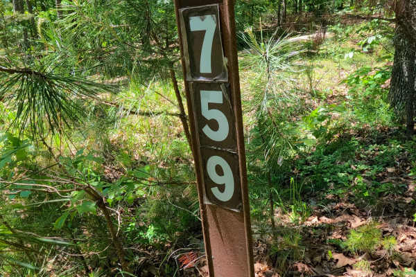 West Cane - FS 3759