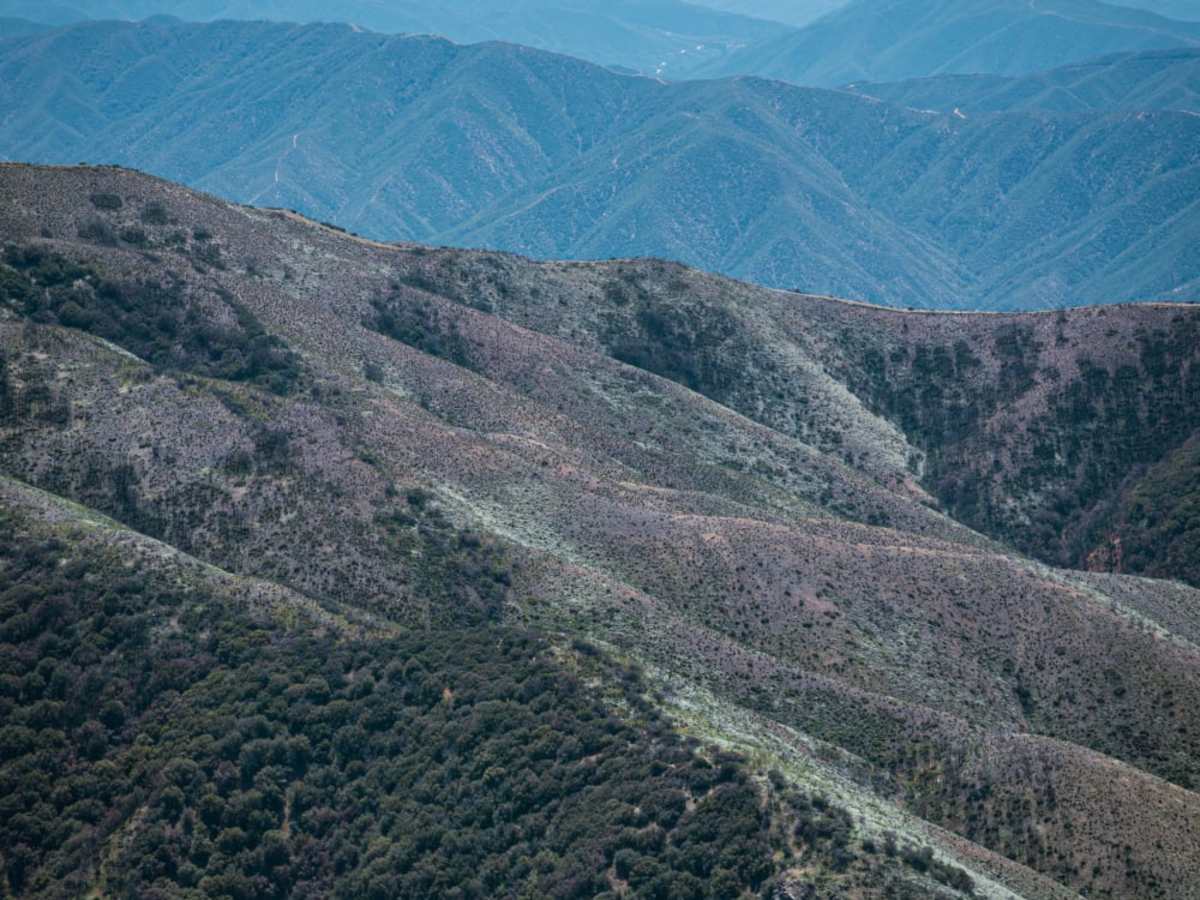 The Highest Peak of the Sierra Pelona photo 2