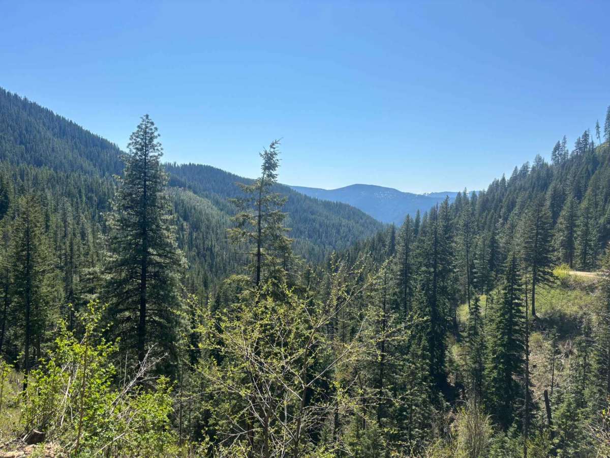 2 Mile Road photo 5