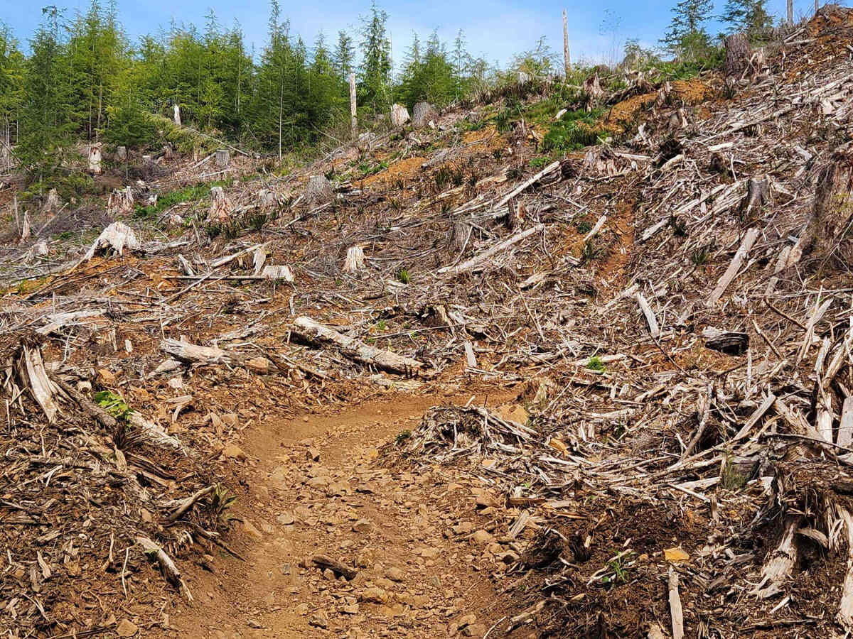Rock Candy Trail trail photo