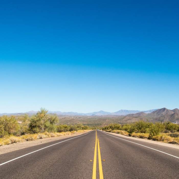 Near Wild Horse Trail