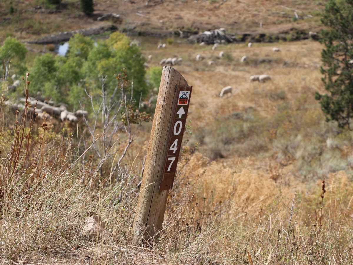Cowley Canyon-Herd Hollow - FS 20047 photo 2