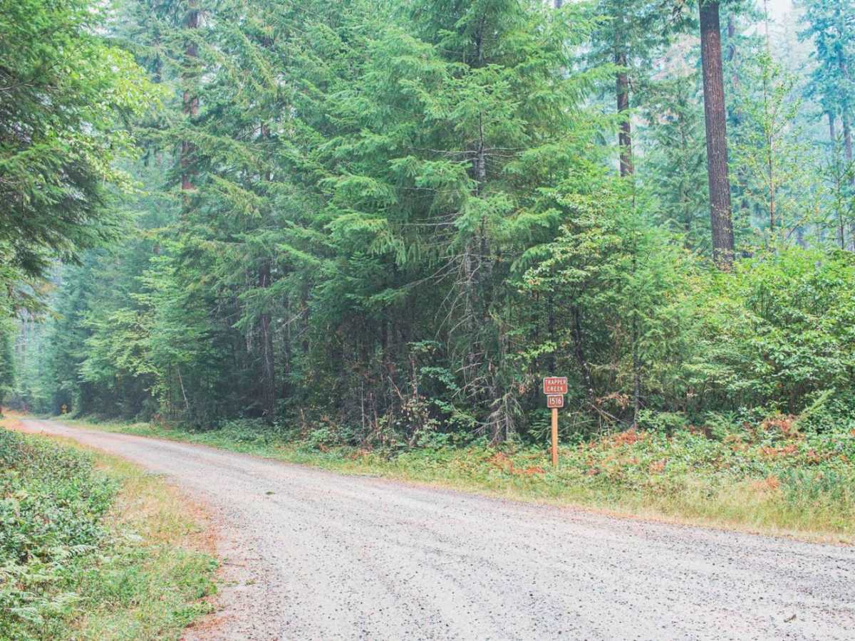 Trapper Creek photo 3
