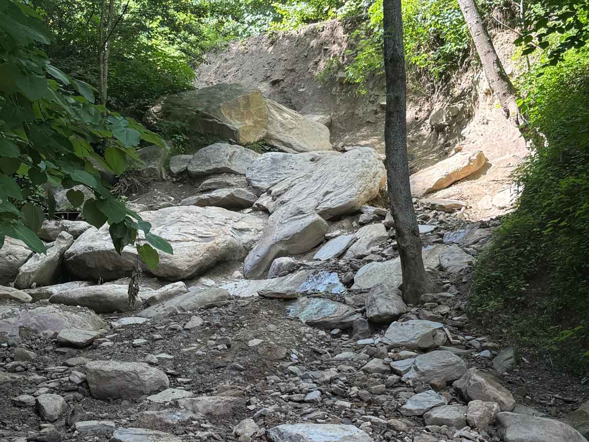 Little Jagger trail photo