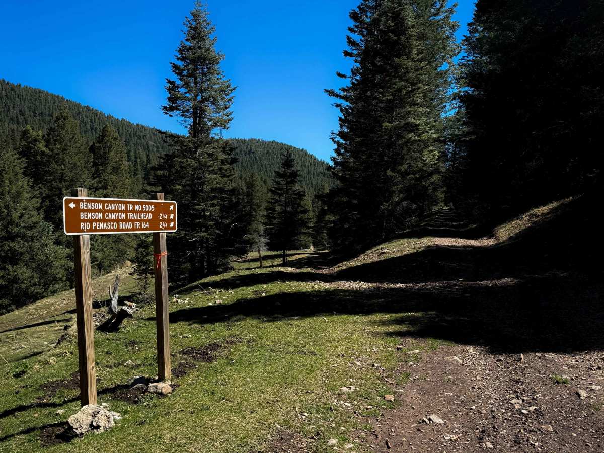 Benson Canyon Spur - FS 5005B  trail photo