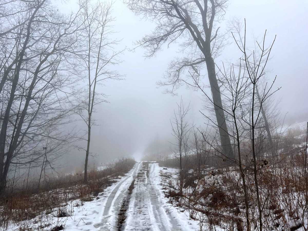 Left Straight Run Trail photo 3