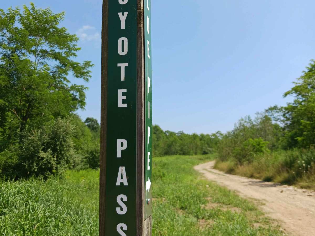 Coyote Pass Trail trail photo
