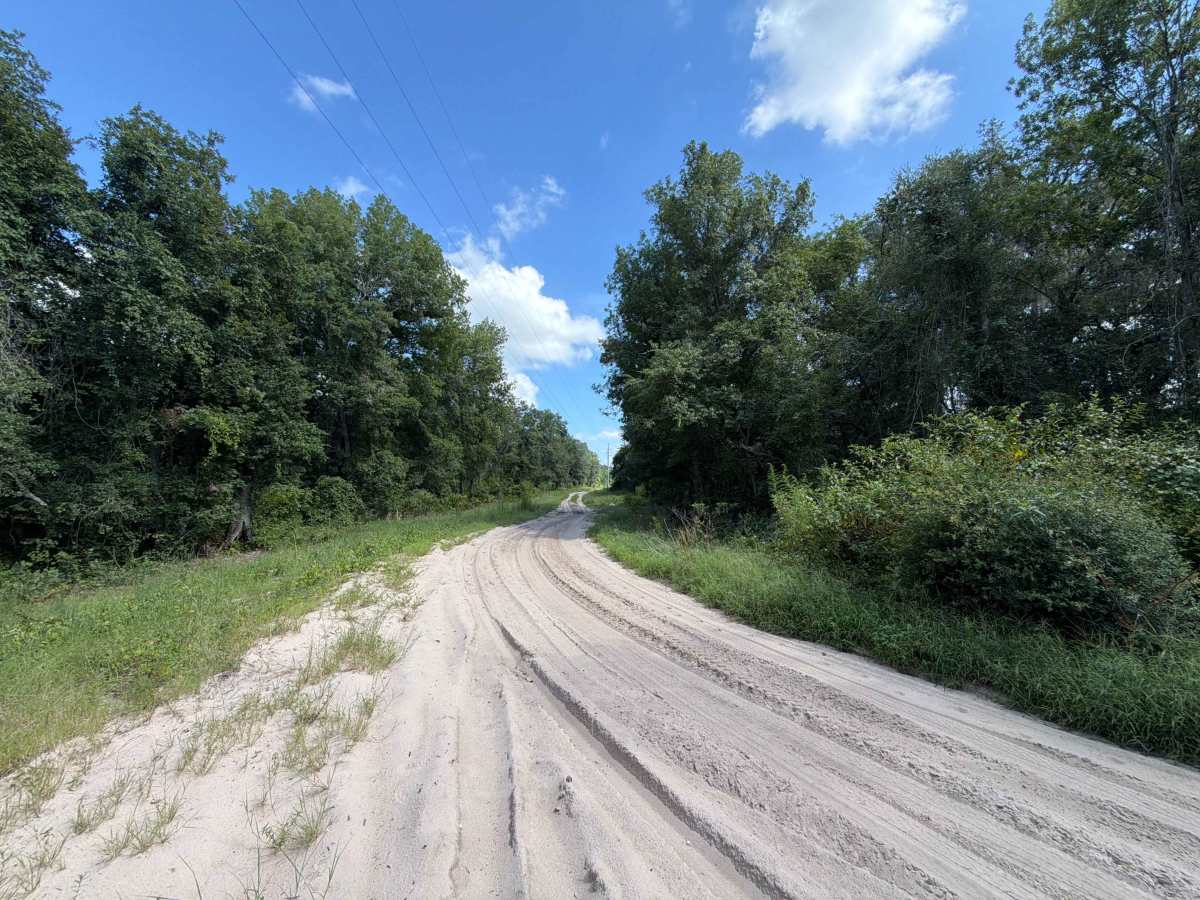 ONF 40-6.1 trail photo