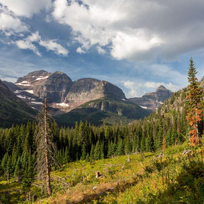 Mount Rockwell and Lone Walker Mountain from Dawson Pass Trail Near Two Medicine Lake South Shore