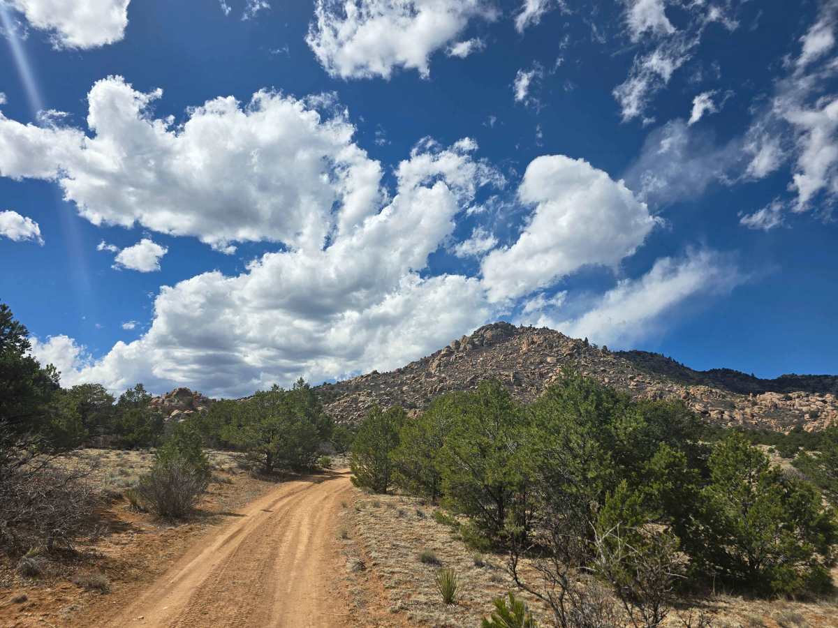 BLM 6210 photo 4