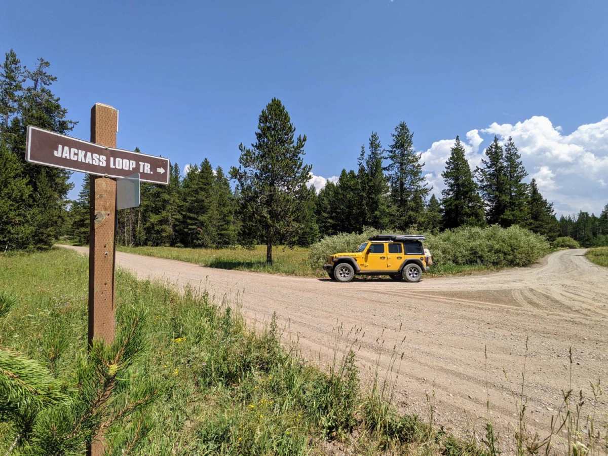 Jackass Loop Trail (FS 264) photo 6