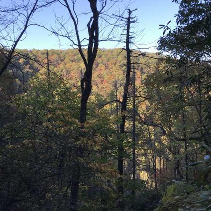 Near Frank Coggins Trail