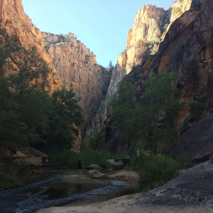 Near Lower Death Hollow