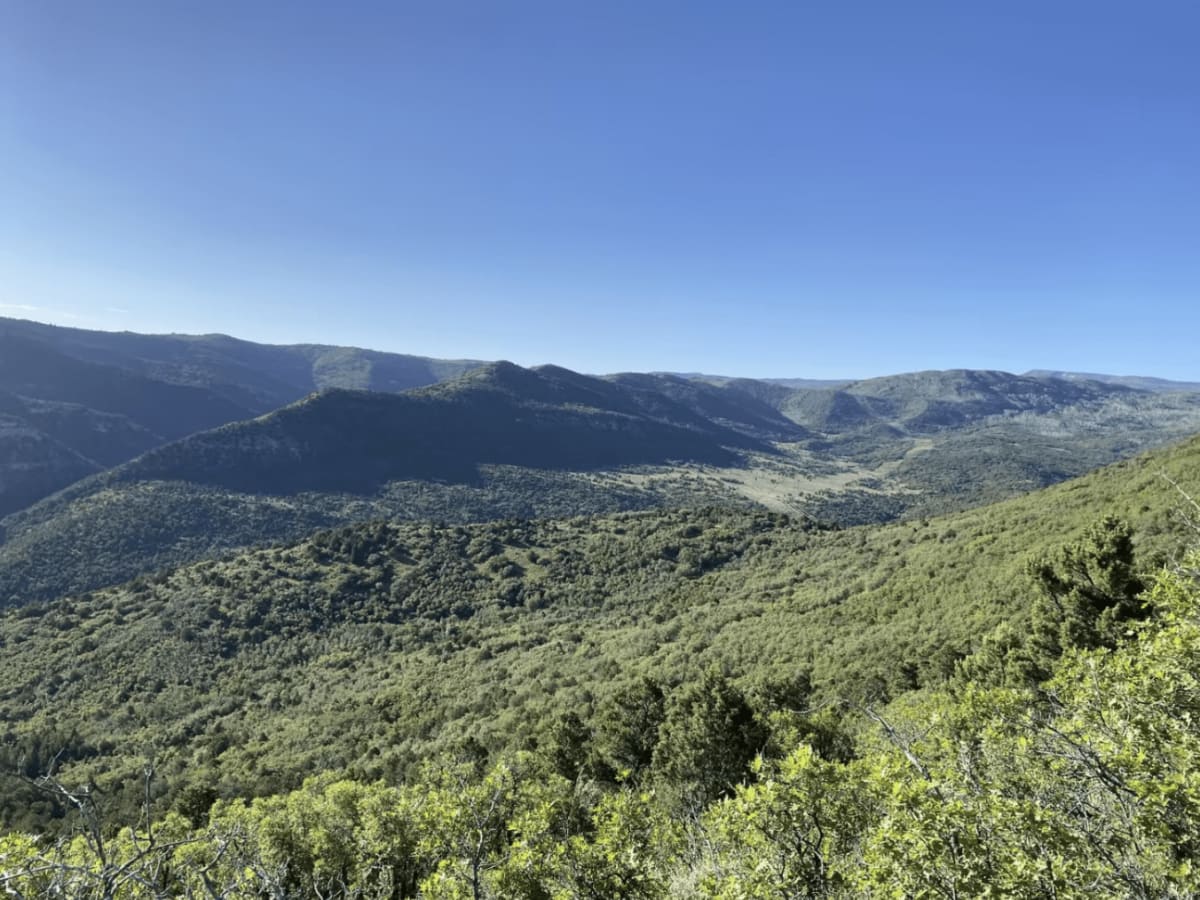Browns Hole Trail trail photo