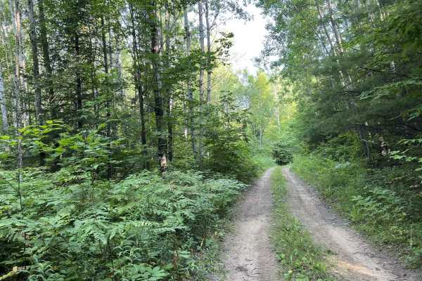 Camp Hayes Road