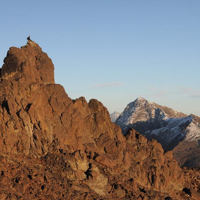 Near McHugh Peak - South Flank Trail