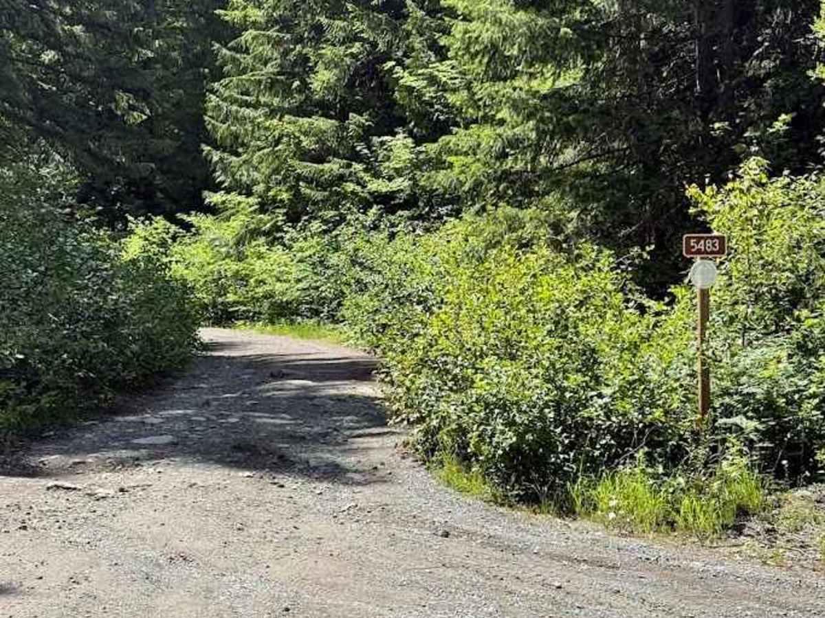 FS 5483 trail photo