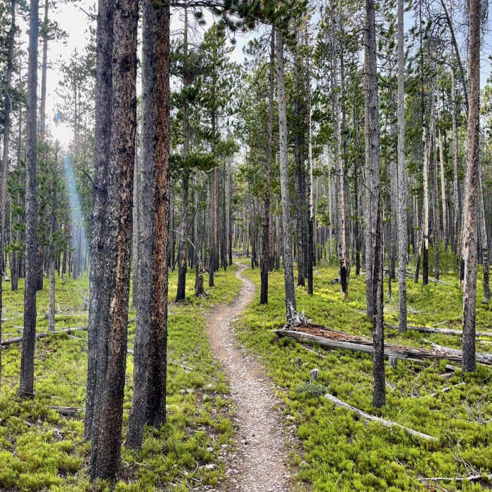 Near Continental Divide Trail: Montana-Idaho Section 9