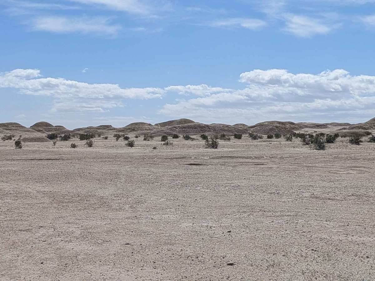 BLM 414 photo 5