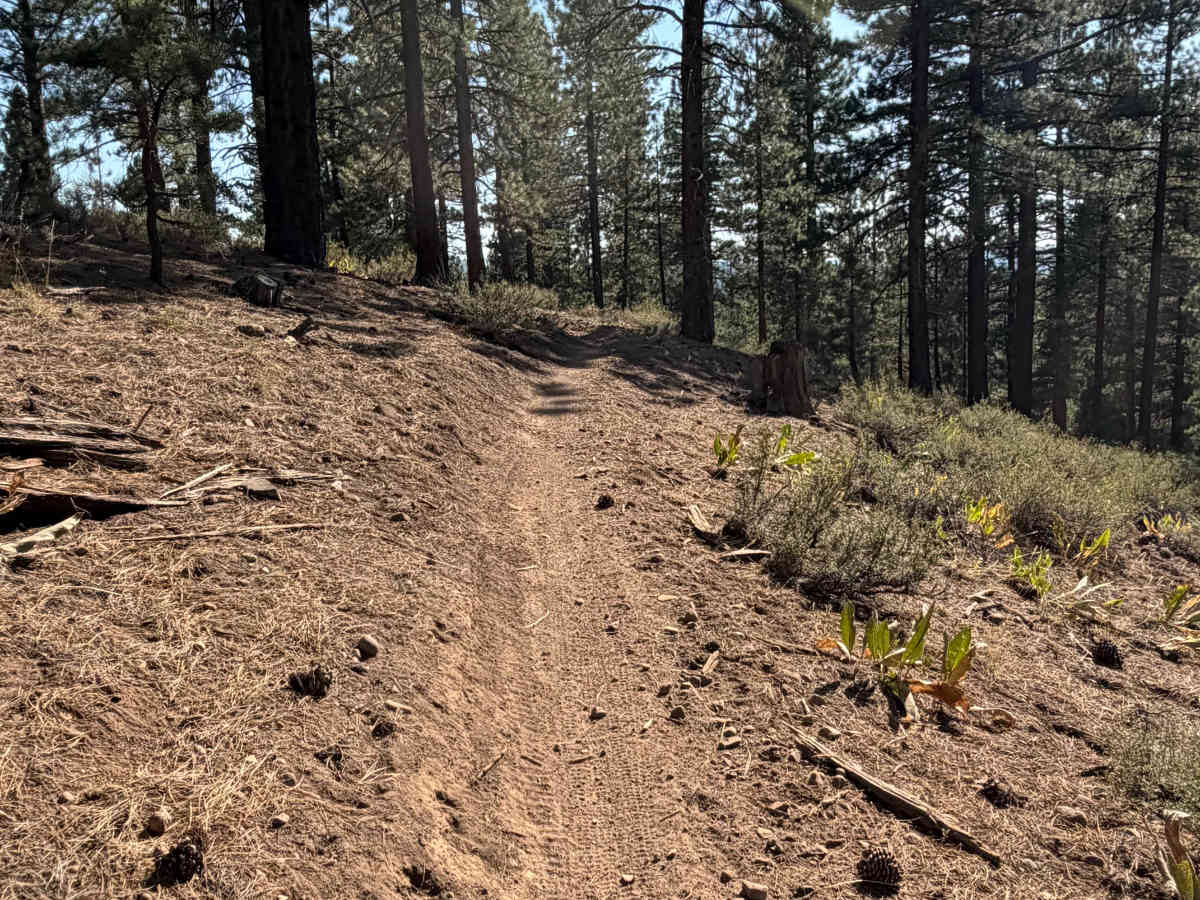 Beer Run Trail Upper photo 3