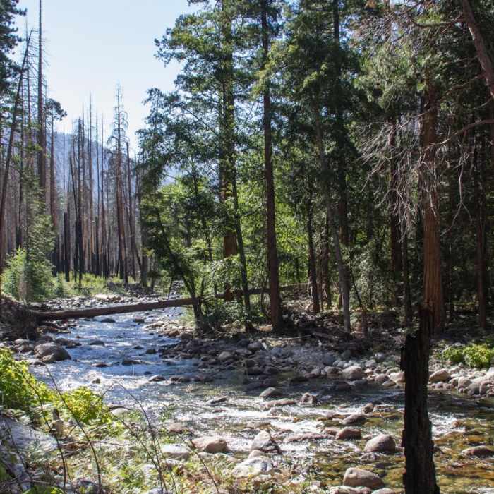 Near River Trail Hike, South Fork of the Kings River