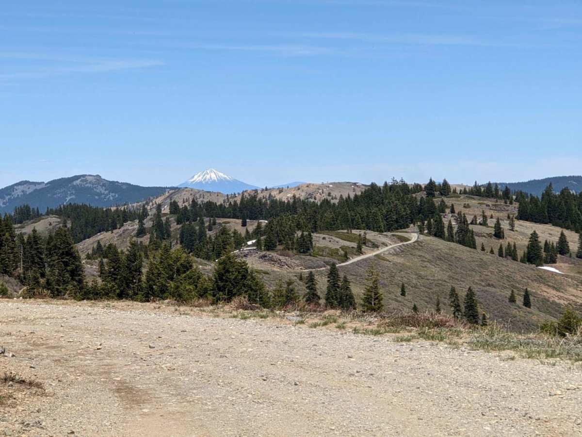 Wagner & Siskiyou photo 6