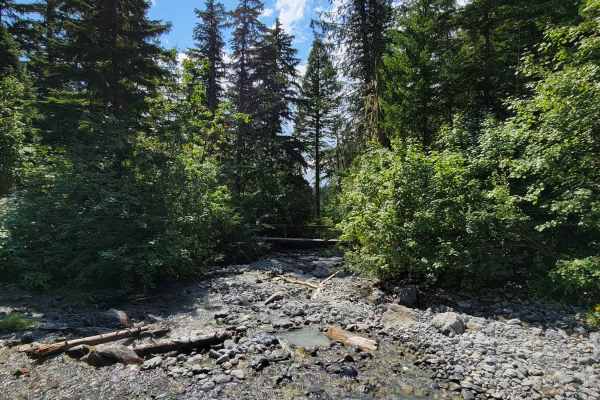 Strawberry Lake Trail