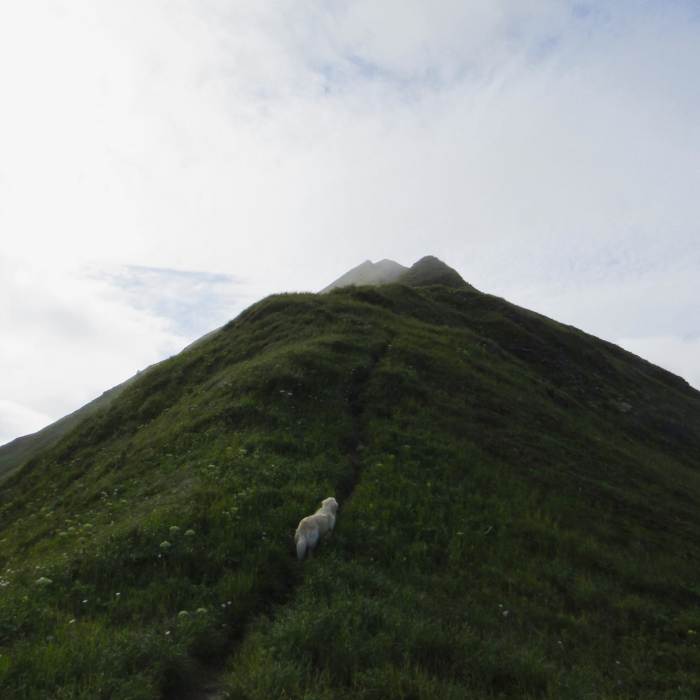 Near North Sister Mountain