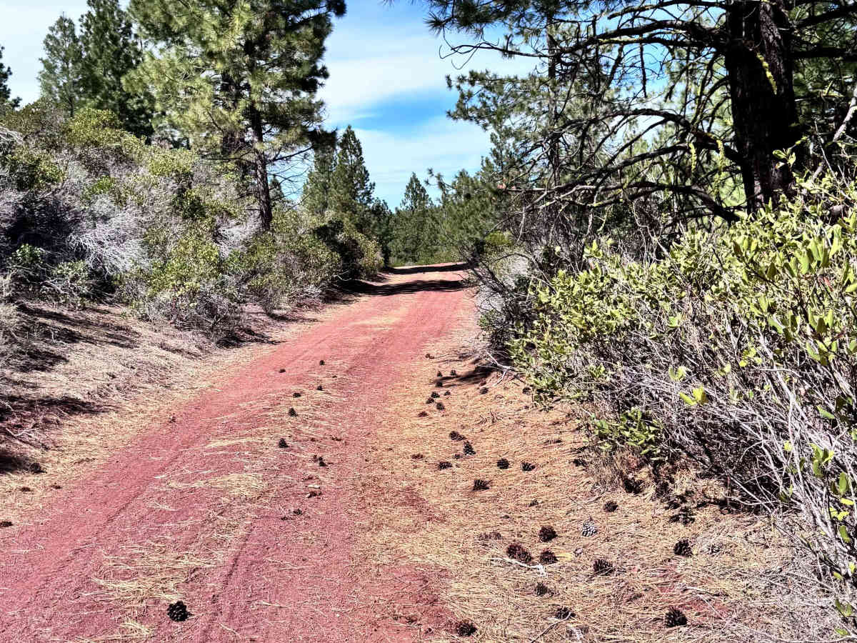 Burnt Butte Pit photo 6