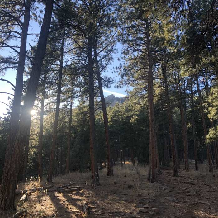 Near Skunk Canyon Trail