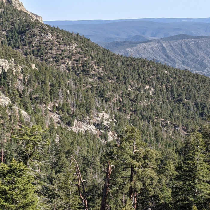Near Three Guns to Embudito Trailhead
