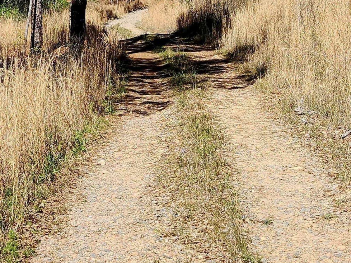 Alexander Hollow Trail photo 6