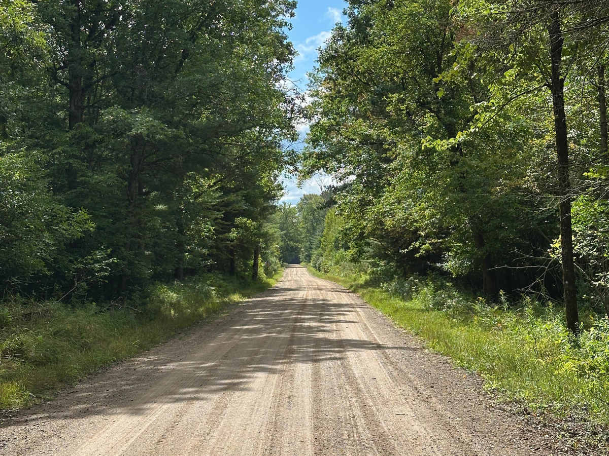 Dorr Road photo 5