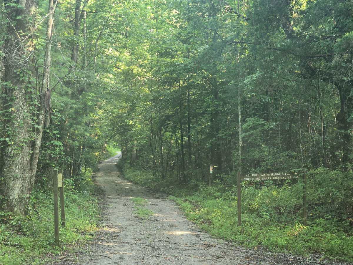 Upper Burke Field Road photo 2