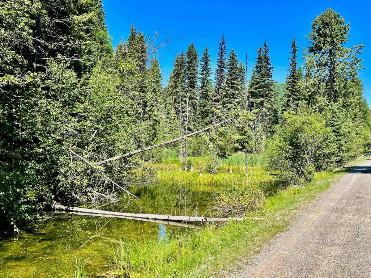 Plumbob Creek FSR photo 4